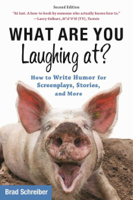 Brad Schreiber & Chris Vogler - What Are You Laughing At? artwork