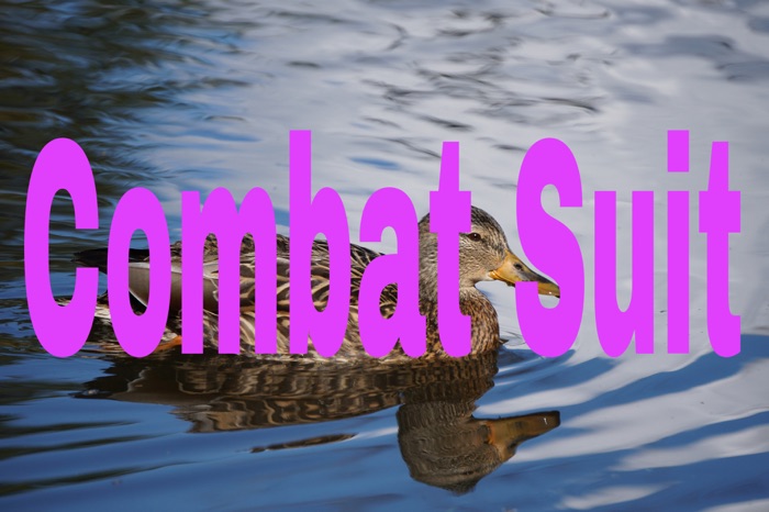 Combat Suit