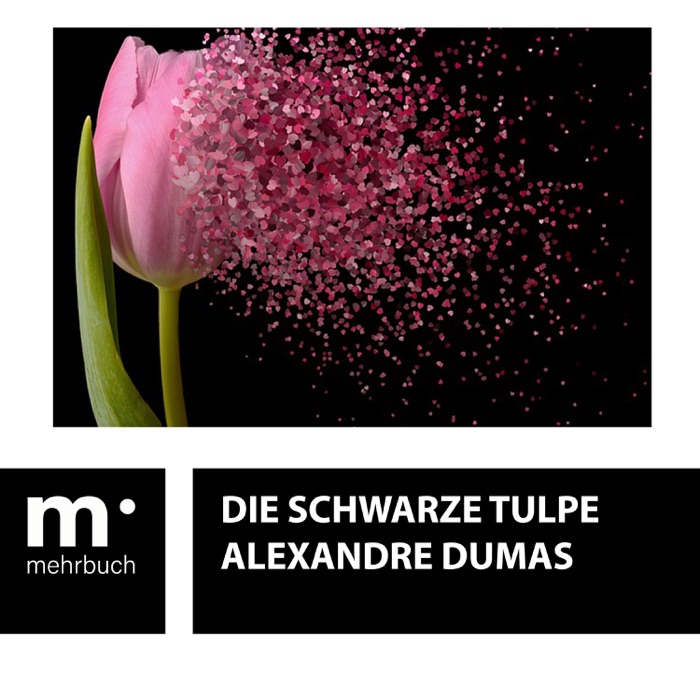 Die schwarze Tulpe