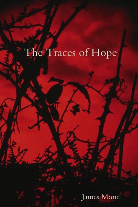 The Traces of Hope