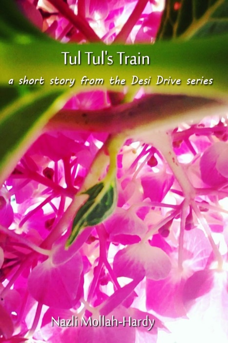 Tul Tul's Train: a Short Story From the Desi Drive Series