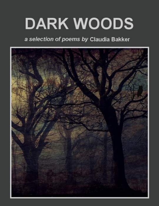 Dark Woods