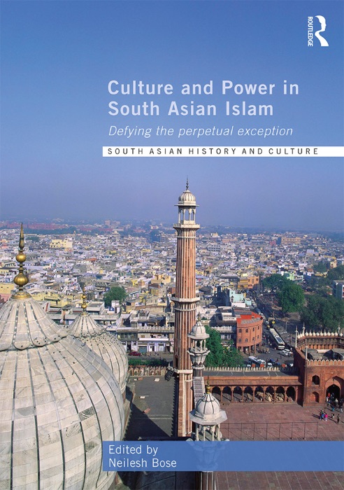 Culture and Power in South Asian Islam