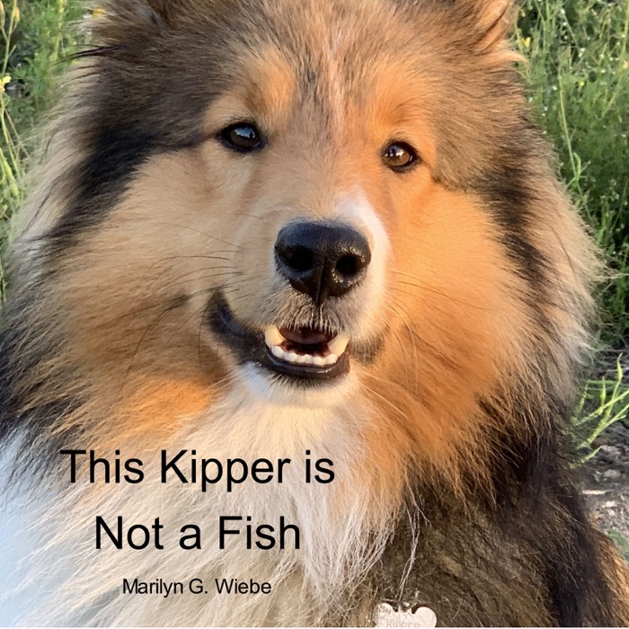 This Kipper is Not a Fish