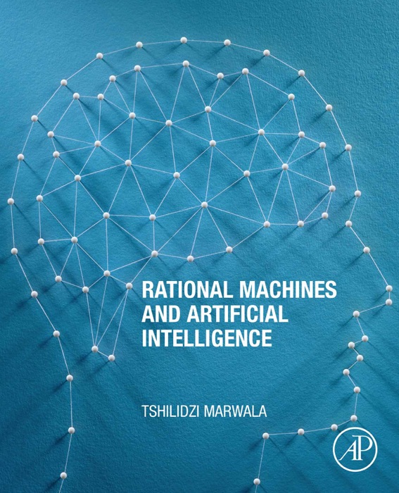 Rational Machines and Artificial Intelligence