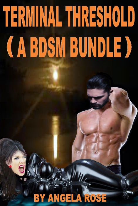 Terminal Threshold (A BDSM Bundle)