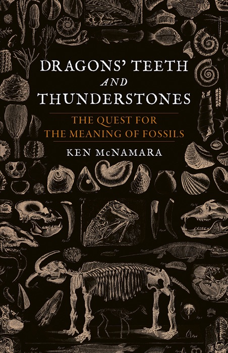 Dragons’ Teeth and Thunderstones