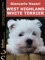 West Highland White Terrier - Giancarlo Nazari