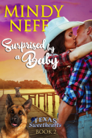Mindy Neff - Surprised by a Baby artwork