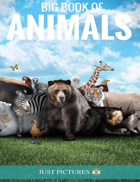 Big Book of Animals