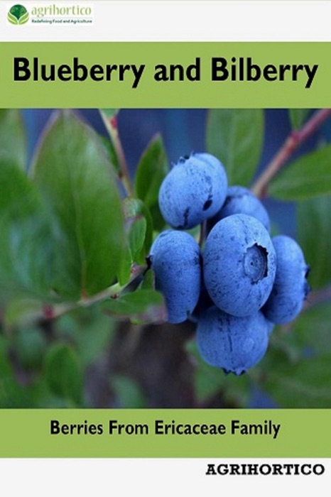 [DOWNLOAD] ~ Blueberry and Bilberry: Berries From Ericaceae Family # by ...