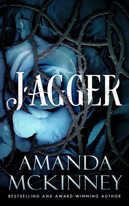 Jagger (Steele Shadows Investigations)