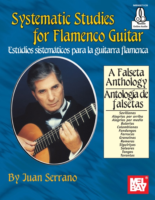 Systematic Studies for Flamenco Guitar