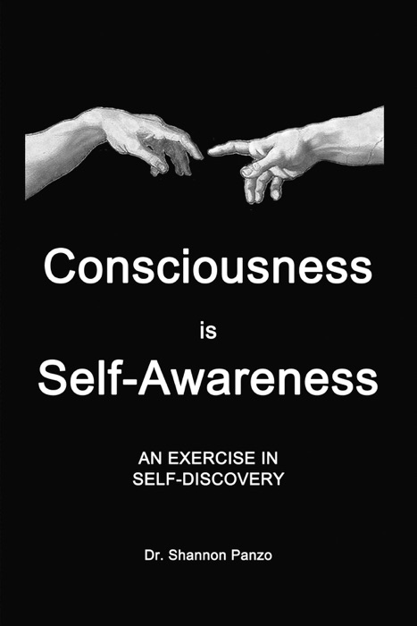 Consciousness is Self-Awareness