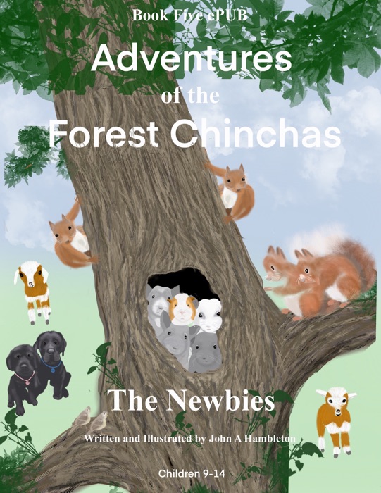Adventures Of The Forest Chinchas-The Newbies