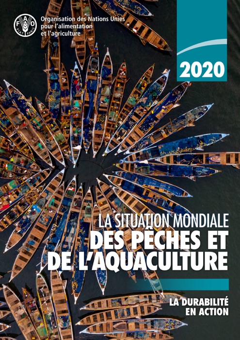 La situation mondiale des pêches et de l’aquaculture 2020: La durabilité an action