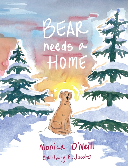 Bear Needs A Home