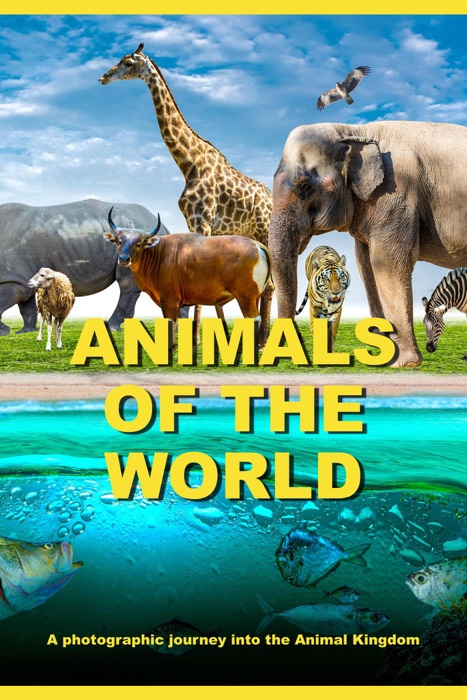 Animals Of The World