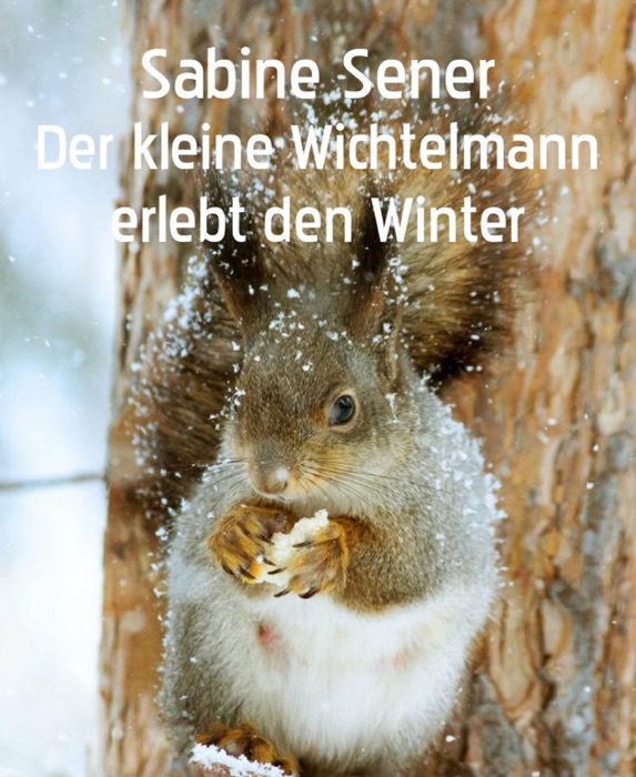 Der kleine Wichtelmann erlebt den Winter