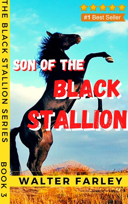 Son of the Black Stallion