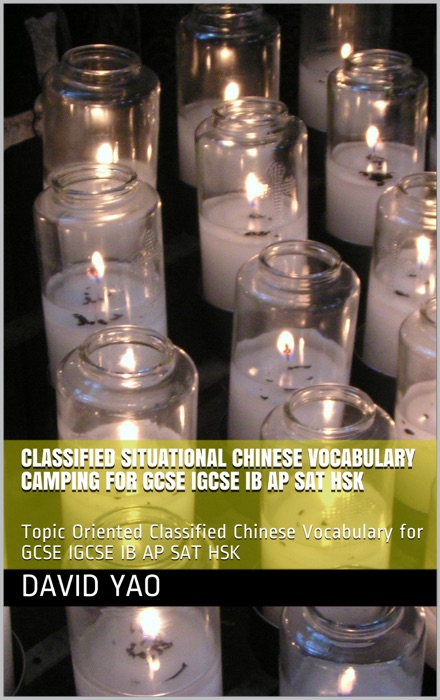 Classified Situational Chinese Vocabulary Camping Version 2020 (3rd Edition)