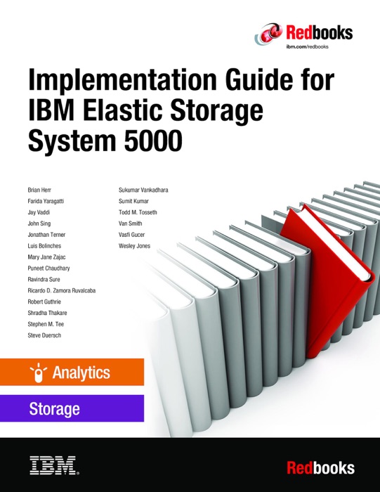 Implementation Guide for IBM Elastic Storage System 5000