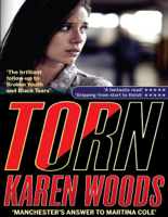 Karen Woods - Torn artwork