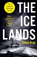 Steinar Bragi - The Ice Lands artwork