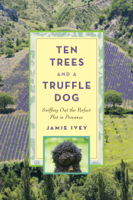 Jamie Ivey - Ten Trees and a Truffle Dog artwork