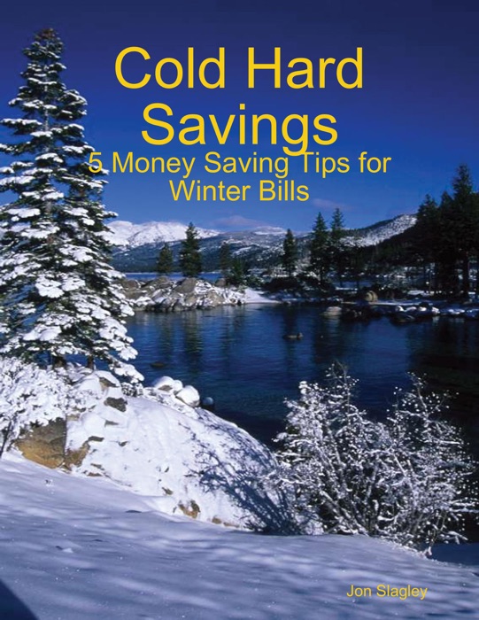 Cold Hard Savings: 5 Money Saving Tips for Winter Bills