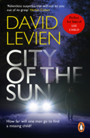 David Levien - City of the Sun artwork