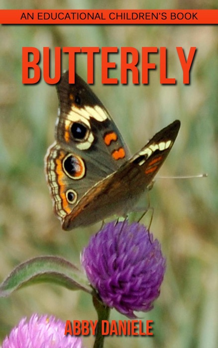 Butterfly! An Educational Children's Book