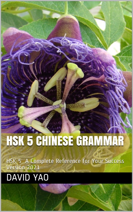 HSK 5 Chinese Grammar 中文语法 V2021