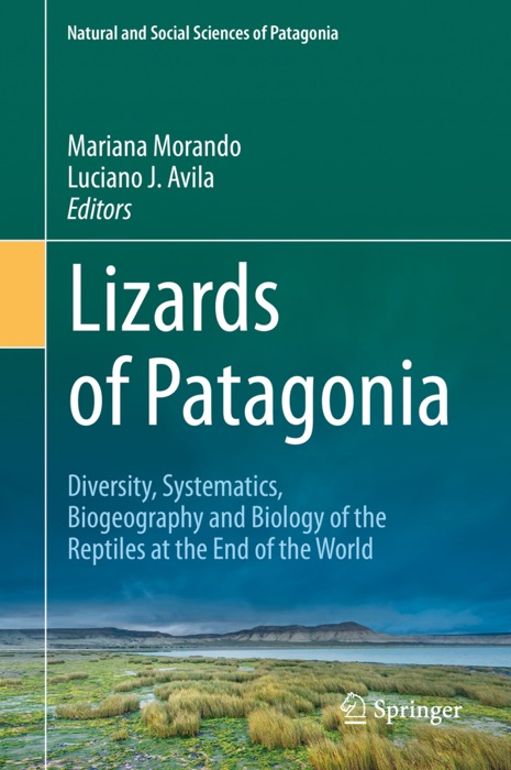 Lizards of Patagonia