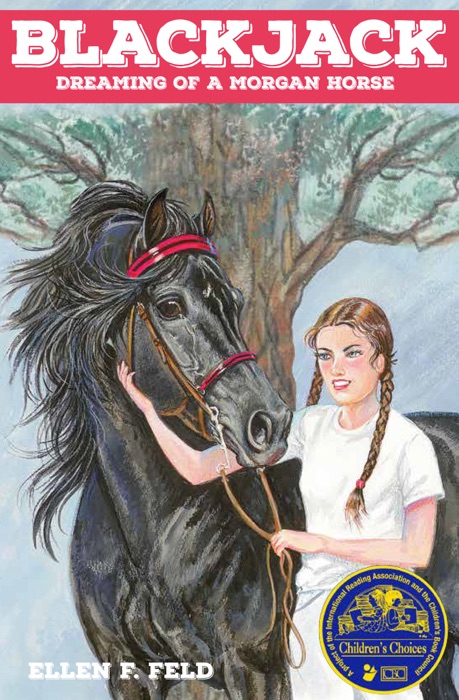Blackjack: Dreaming of a Morgan Horse