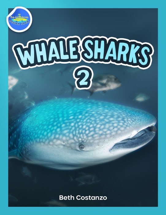 Whale Shark 2 ages 4-8