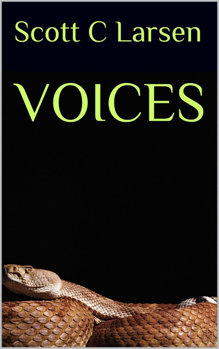 Voices