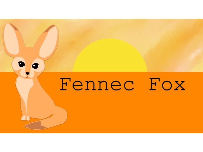 Fennec Fox