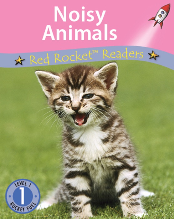 Noisy Animals (Readaloud)