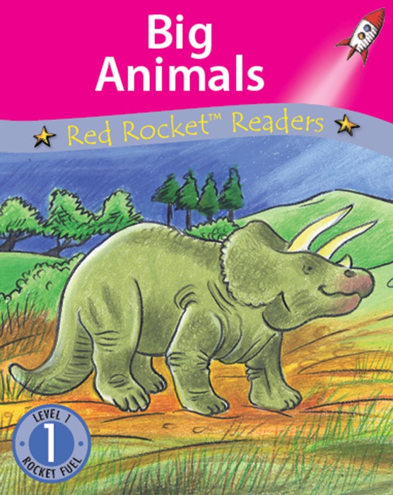 Big Animals (Readaloud)