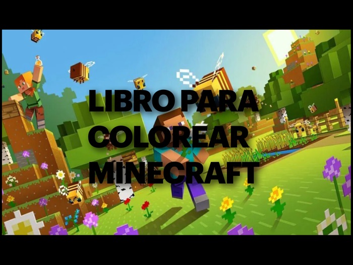 Libro para colorear de Minecraft