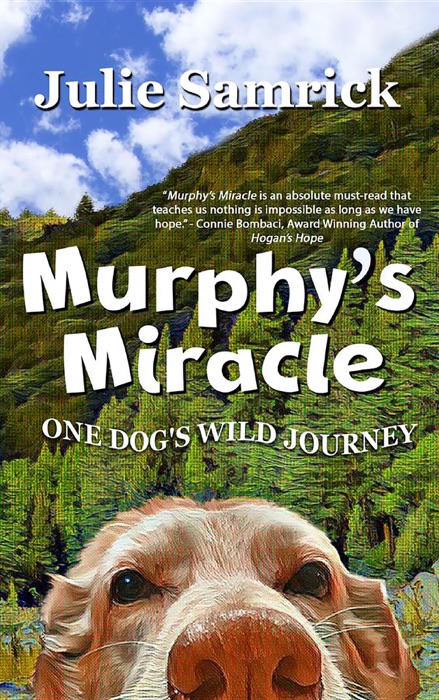 Murphy's Miracle