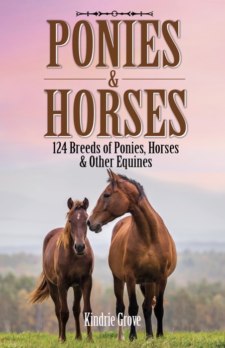 Ponies & Horses