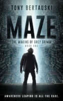 Tony Bertauski - Maze: The Waking of Grey Grimm artwork