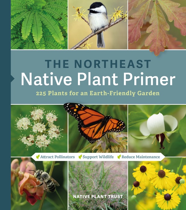 The Northeast Native Plant Primer