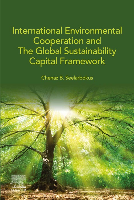 International Environmental Cooperation and The Global Sustainability Capital Framework (Enhanced Edition)
