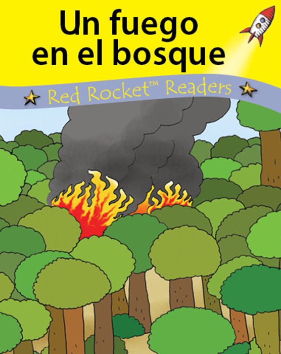 Un fuego en el bosque