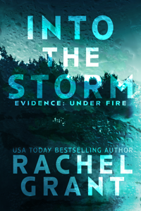 Into the Storm Book Cover