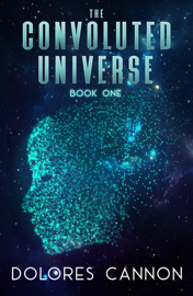 The Convoluted Universe Book 1