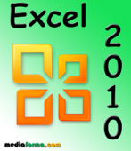 Excel 2010 - Michel Martin